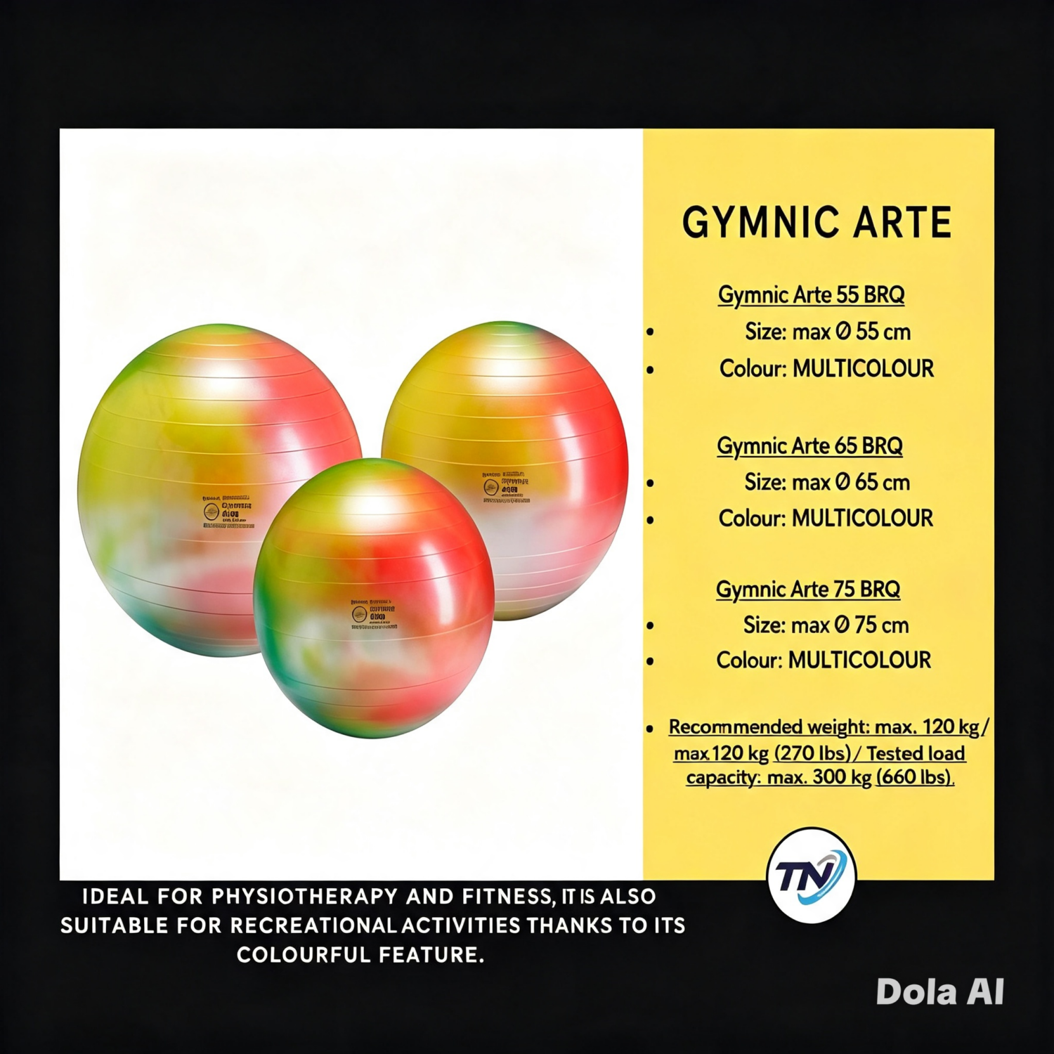 GYMNIC ARTE